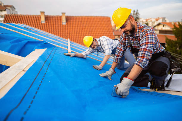 Roof Installation Near Me in Afton, WY