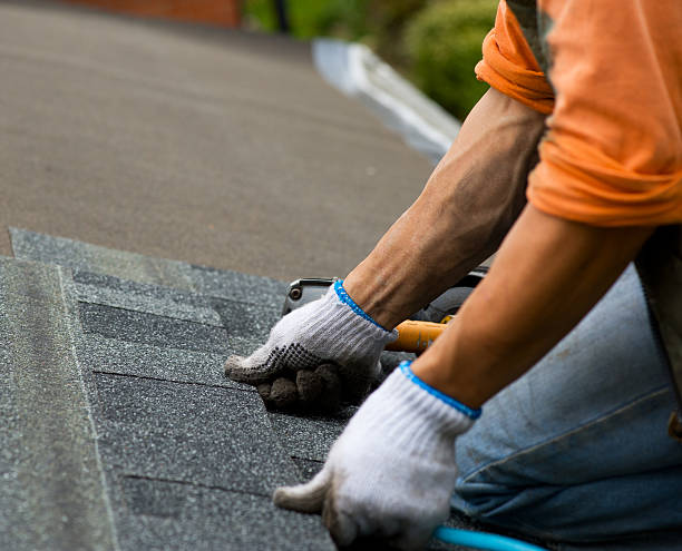 Best Roof Gutter Cleaning  in Afton, WY