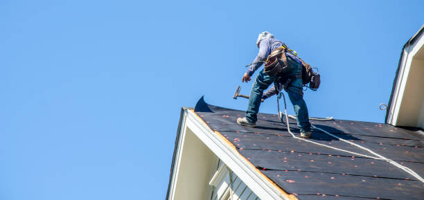 Best Affordable Roof Replacement  in Afton, WY